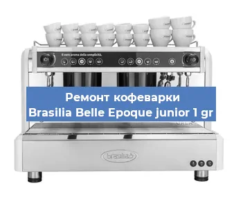 Чистка кофемашины Brasilia Belle Epoque junior 1 gr от кофейных масел в Перми